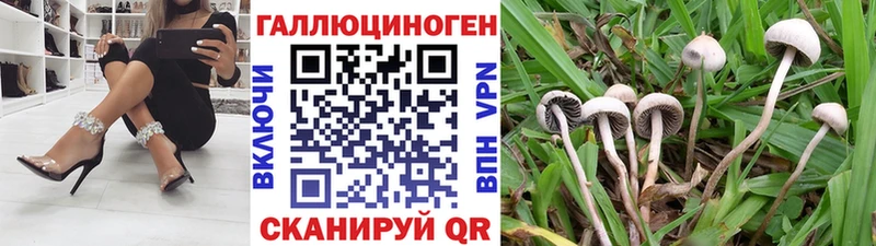 Галлюциногенные грибы MAGIC MUSHROOMS  ссылка на мегу ССЫЛКА  Верхоянск 